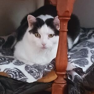 Meet your Posher, Tammy